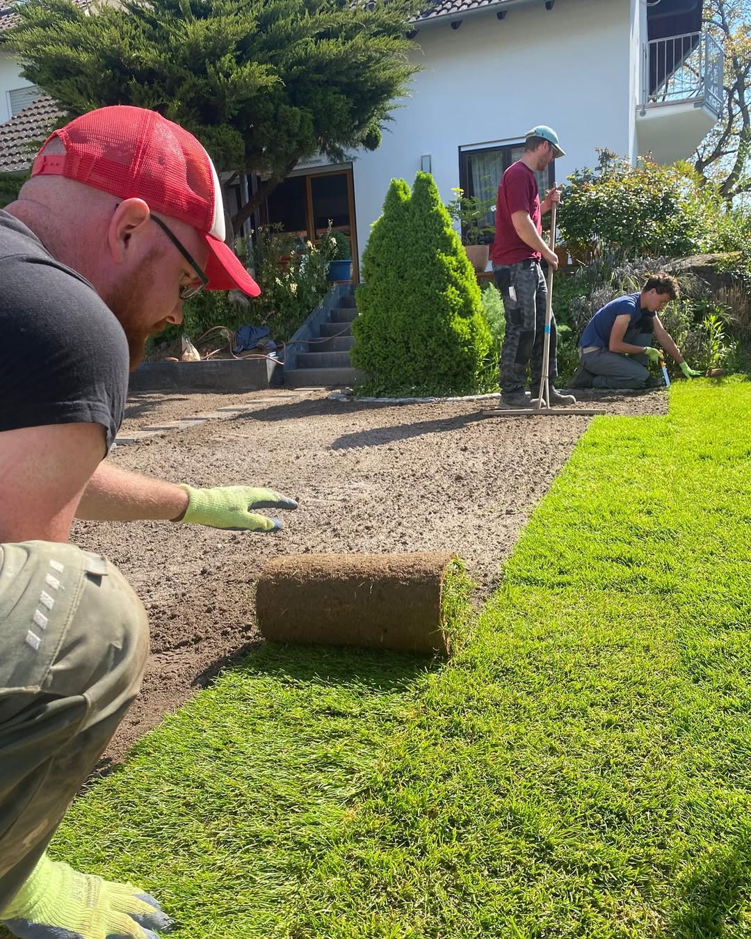 Ein schöner Rollrasen sorgt für ein sattes Grün in Deinem Garten 😍Kein langes Warten mit Rasen